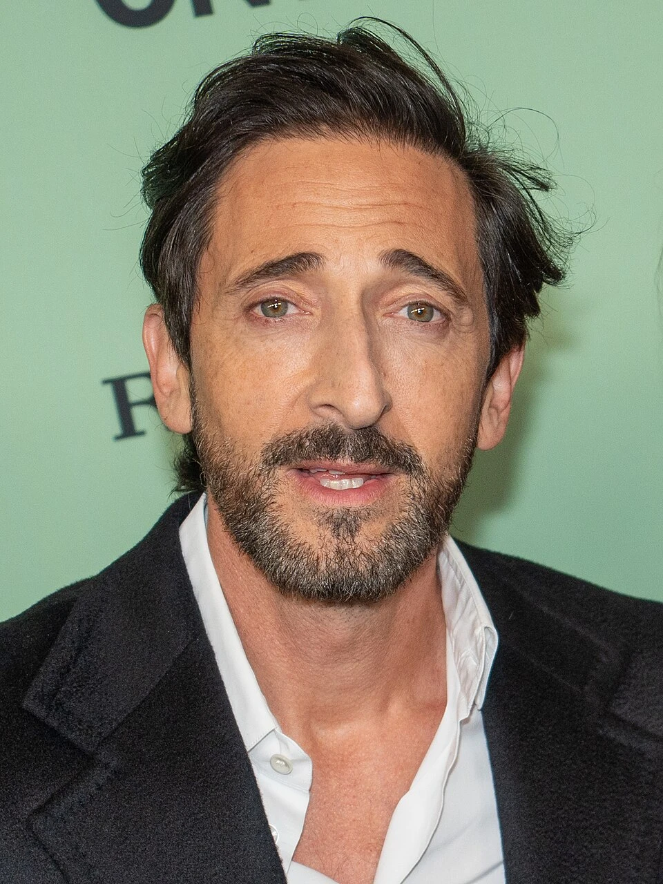 Adrien Brody headshot