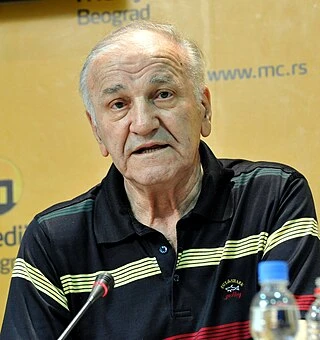 Bata Živojinović headshot