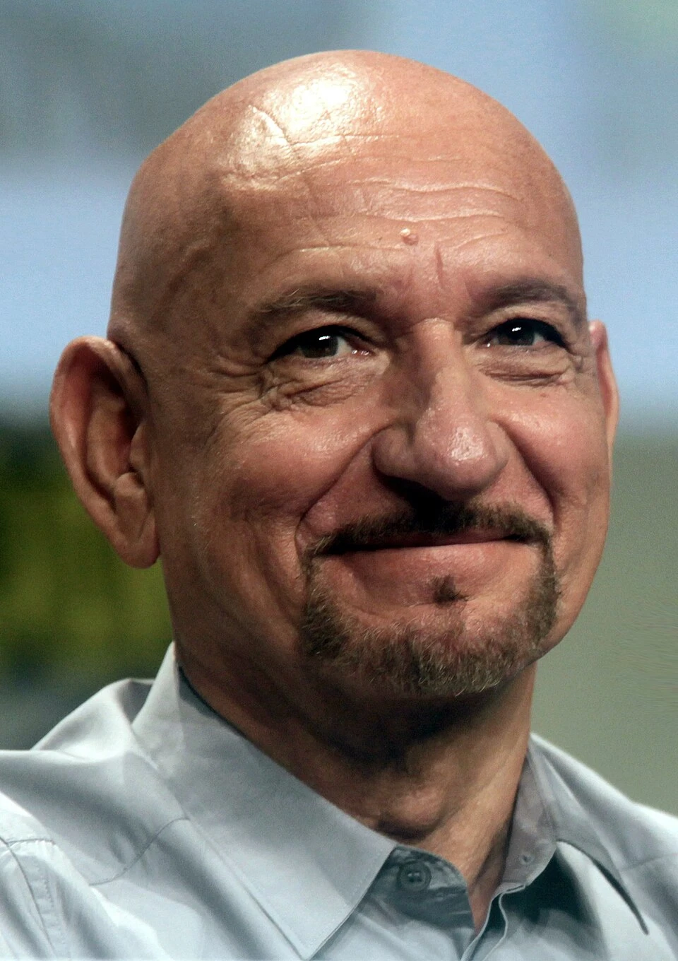 Ben Kingsley headshot