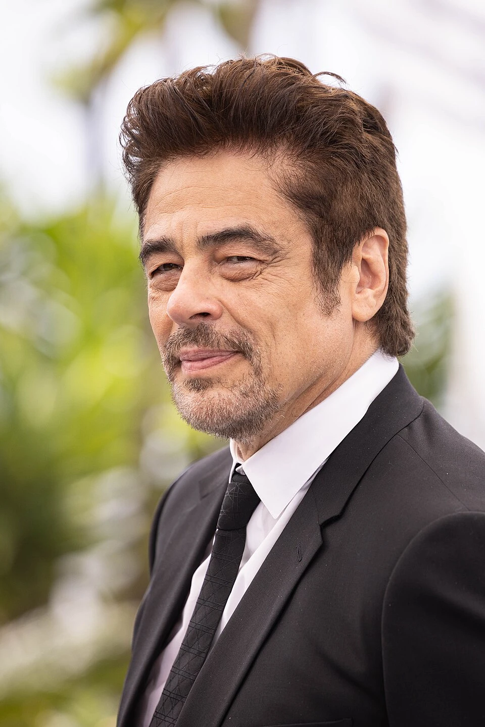 Benicio del Toro headshot