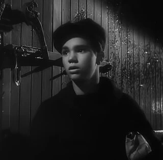 Darryl Hickman headshot