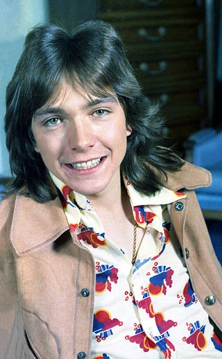 David Cassidy image