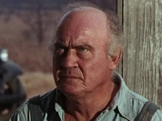 Dub Taylor headshot