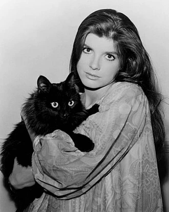 Katharine Ross headshot