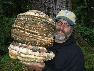 Paul Stamets headshot