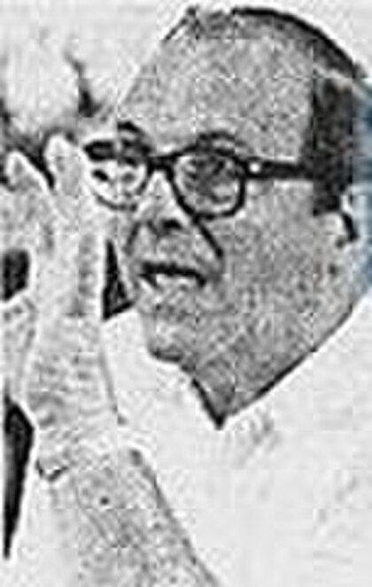 Damiano Damiani image