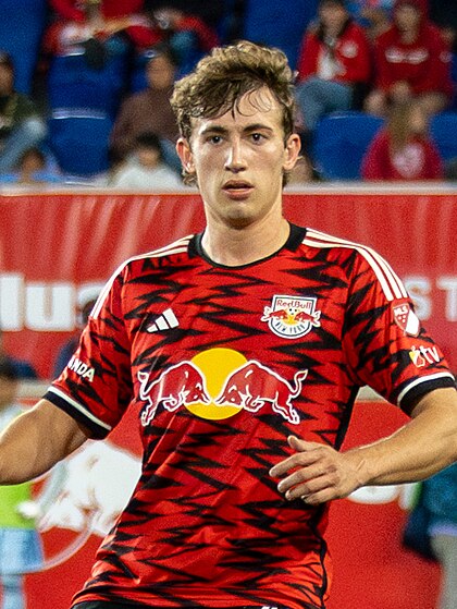 Daniel Edelman image