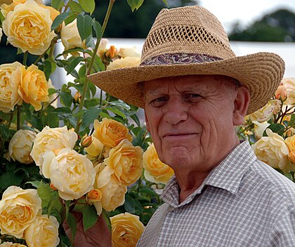 David Austin image