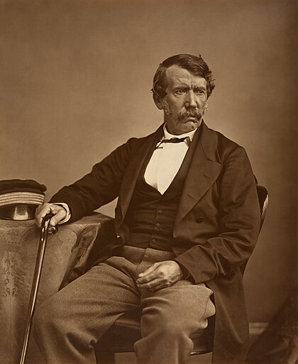 David Livingstone image