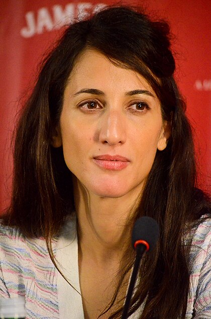 Deniz Gamze Ergüven image