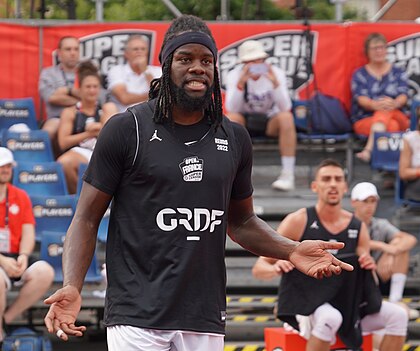 Dominique Gentil image