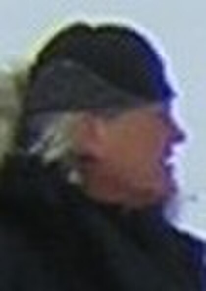 Harald Gunnar Paalgard image
