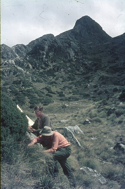 James Mather image