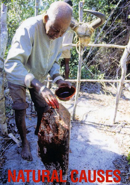 Jonathan Kaplan image