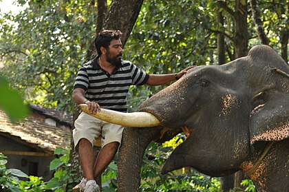 M. Sukumar image