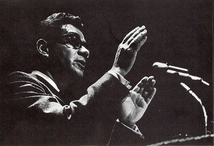 Mark Lane image