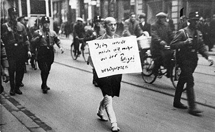 Michael Siegel image