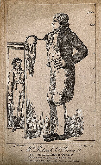 Patrick O'Brien image
