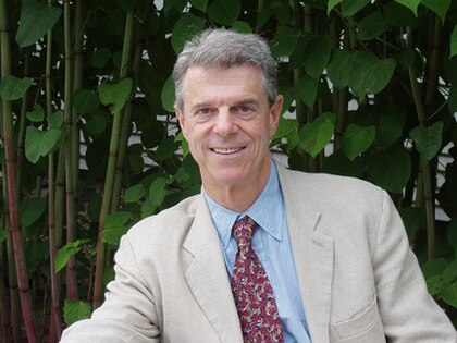 Peter Davis image