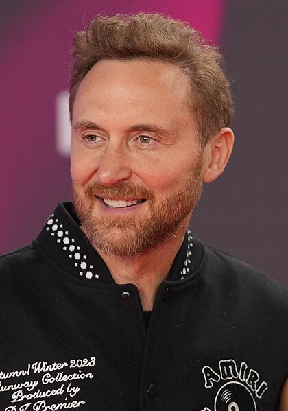 Pierre David image