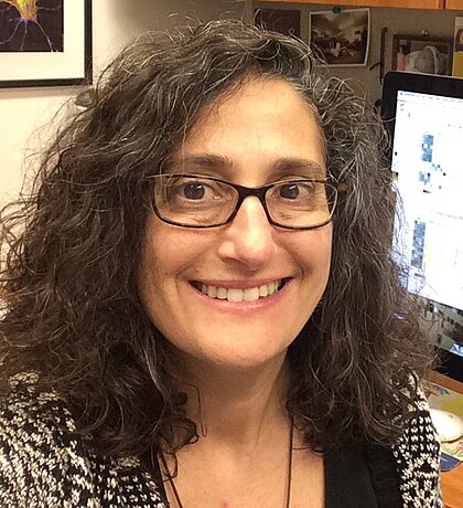 Robyn Klein image