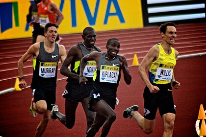 Ross Murray image