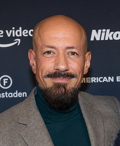 Tarik Saleh image