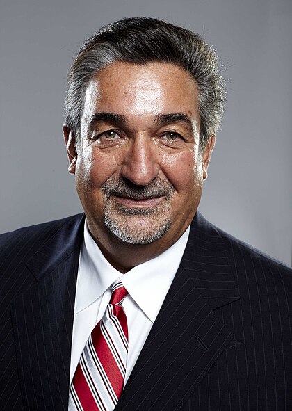 Ted Leonsis image