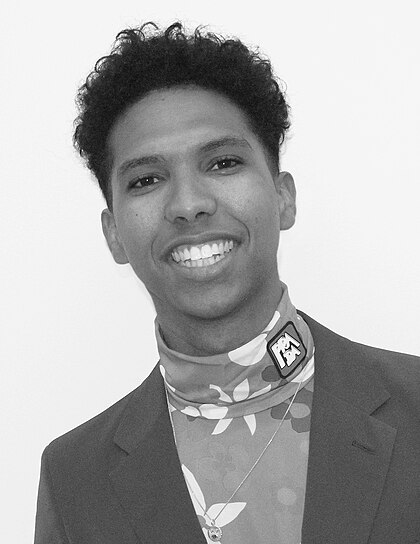 Tyler Mitchell image