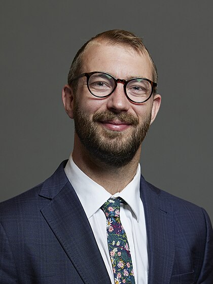 Will Stone image