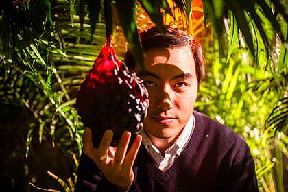 Yung Chang image