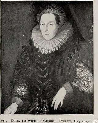 Rose Williams headshot