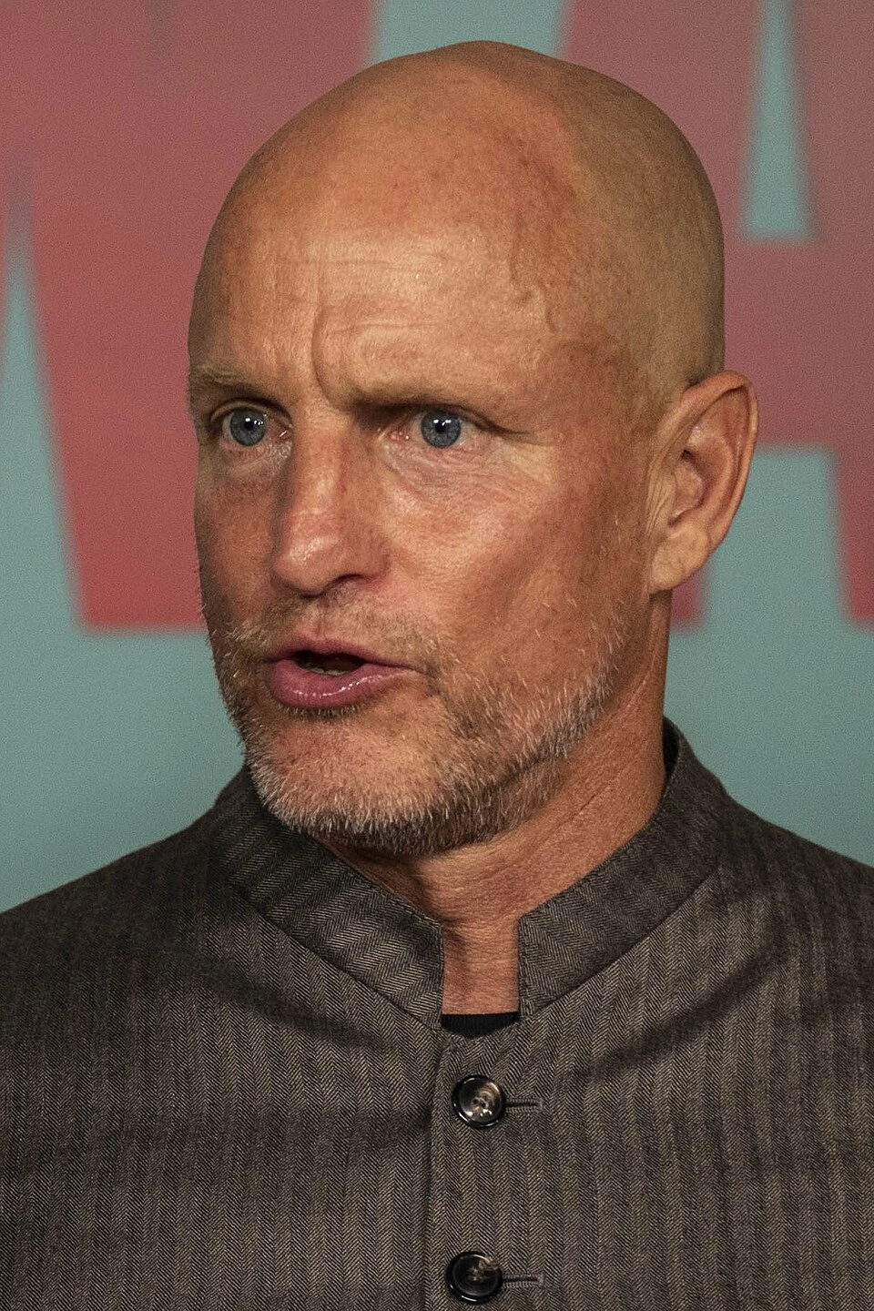 Woody Harrelson headshot