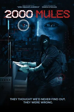 2000 Mules poster