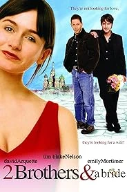 2 Brothers & a Bride poster