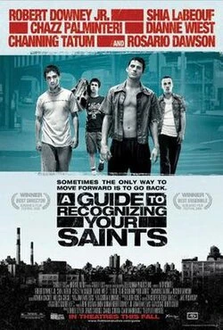 A Guide to Recognizing Your Saints poster