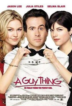 A Guy Thing poster