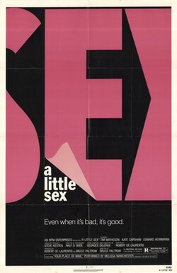 A Little Sex poster