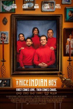 A Nice Indian Boy poster