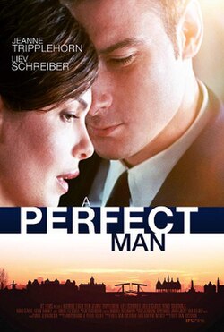 A Perfect Man poster