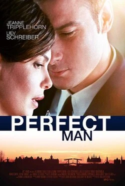 A Perfect Man poster