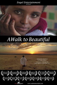 A Walk to Beautiful poster