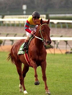 Agnes and His Brothers poster