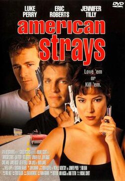 American Strays poster