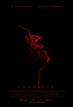 Anamorph poster