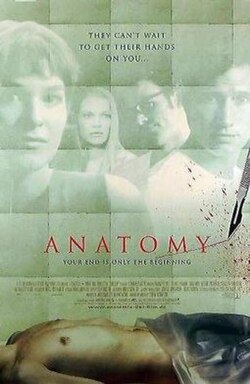 Anatomy poster