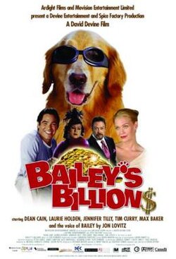 Bailey's Billion$ poster