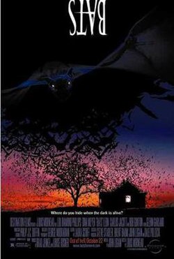 Bats poster