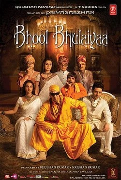 Bhool Bhulaiyaa 3 poster