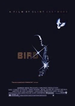 Bird poster